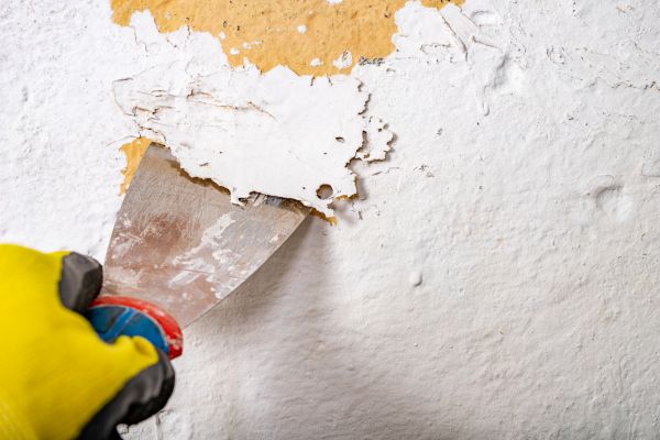 Paint Scraping Service